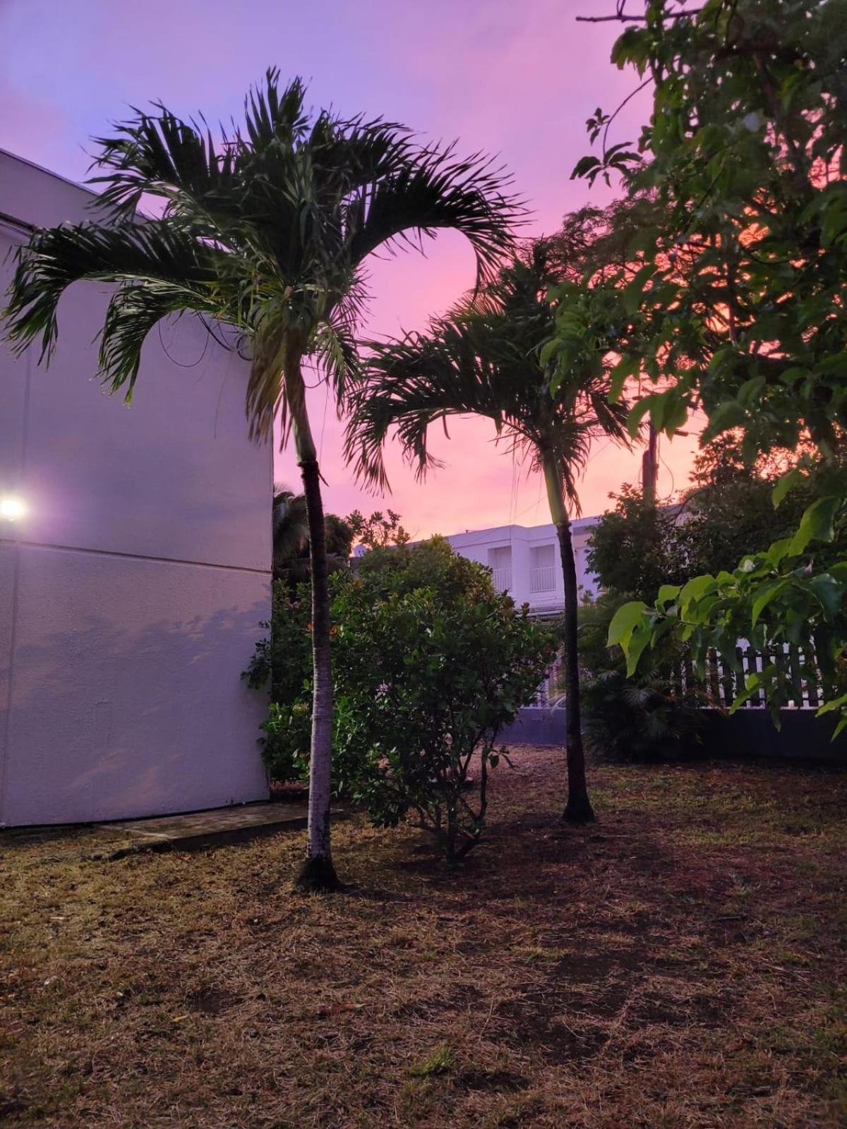 Tropical Love Étang-Salé les Bains Exterior foto